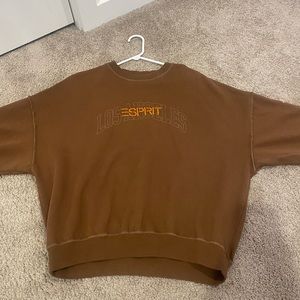 Brown Pacsun Sweater